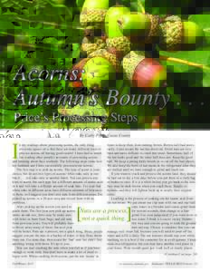 Photo: Vern Wilkins, Indiana University, Bugwood.org  Acorns: Autumn’s BountyPrice’s Processing Steps By Cathy Price, Coosa County