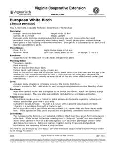 European White Birch (Betula pendula) Alex X. Niemiera, Associate Professor, Department of Horticulture Summary: Foliage: Deciduous broadleaf