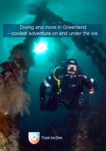 Diving and more in Greenland - coolest adventure on and under the ice Snow, ice and water Be amongst the first in the world to dive the shipwrecks Borgin, dive the icebergs and experience the amazingly lively world unde