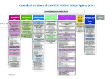 Committee Structure of the OECD Nuclear Energy Agency (NEA) Steering Committee for Nuclear Energy Committee on the Safety of Nuclear Installations  Committee on Nuclear
