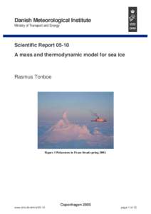 Danish Meteorological Institute  Ministry of Transport and Energy Scientific ReportA mass and thermodynamic model for sea ice