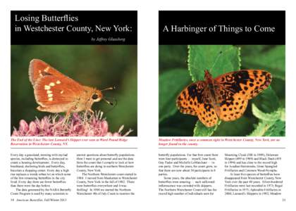 Losing Butterflies in Westchester County, New York: A Harbinger of Things to Come  by Jeffrey Glassberg
