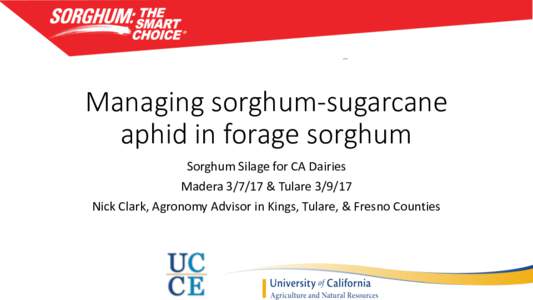Managing sorghum-sugarcane aphid in forage sorghum Sorghum Silage for CA Dairies Madera & TulareNick Clark, Agronomy Advisor in Kings, Tulare, & Fresno Counties