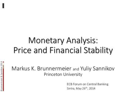 Brunnermeier & Sannikov[removed]Monetary Analysis: Price and Financial Stability Markus K. Brunnermeier and Yuliy Sannikov Princeton University