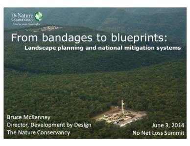 From bandages to blueprints: Landscape planning and national mitigation systems Bruce McKenney Director, Development by Design The Nature Conservancy