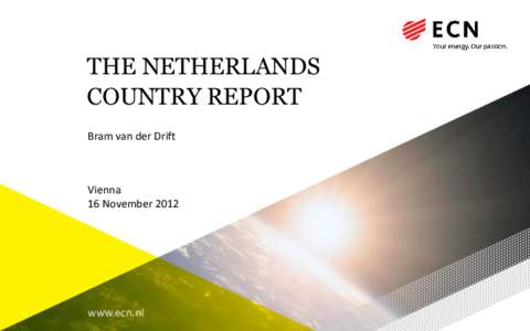 THE NETHERLANDS  COUNTRY REPORT