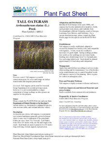 Plant Fact Sheet TALL OATGRASS Arrhenatherum elatius (L.)