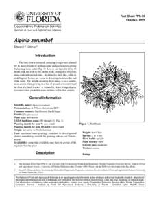Fact Sheet FPS-35  October, 1999 Alpinia zerumbet1 Edward F. Gilman2