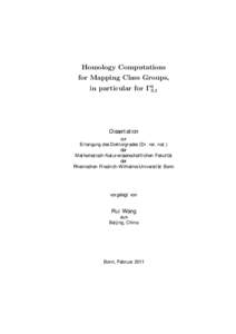 Homology Computations for Mapping Class Groups, in particular for Γ03,1 Dissertation zur