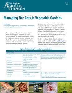 ENTO[removed]Managing Fire Ants in Vegetable Gardens Molly Keck