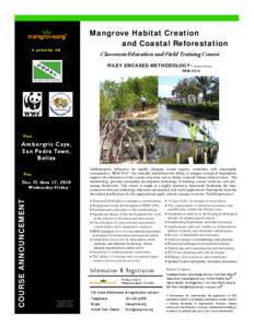 In partnership with:  Mangrove Habitat Creation and Coastal Reforestation Classroom Education and Field Training Course RILEY ENCASED METHODOLOGYTM (Patents Pending)