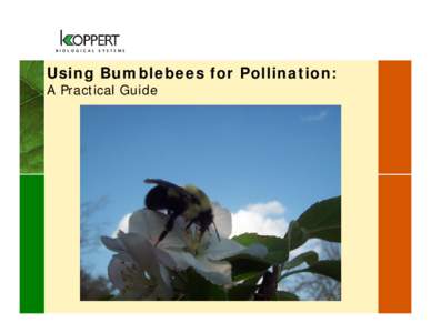 Using Bumblebees for Pollination: A Practical Guide The Inevitable Comparison  Let’s Compare Two Other Animals