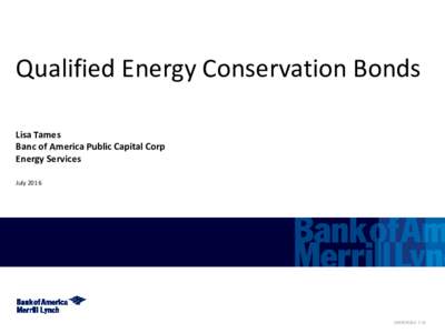 Qualified Energy Conservation Bonds Lisa Tames Banc of America Public Capital Corp Energy Services July 2016