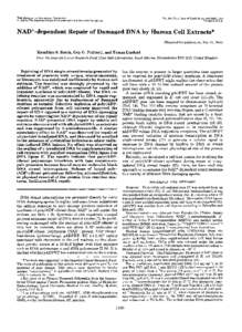 THEJOURNAL OF BIOLOGICAL CHEMISTRY @ 1993 by The American Society for Biochemistry and Molecular Biology, Inc. Vol. 268, No. 8,Issue of March 15, pp, 1993 Printed in U.S.A.