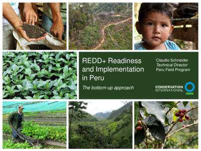 REDD+ Readiness and Implementation in Peru The bottom-up approach  Claudio Schneider