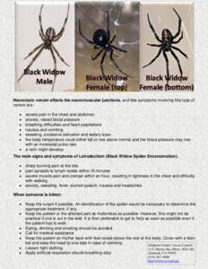 Black Widow new needs revision
