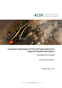 Comparative Advantages of CTFs and Project Approach to support Protected Areas Systems Examples from the field Final Synthesis Report  October 31st, 2013