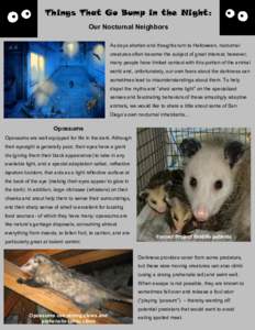Biology / Behavior / Night / Ethology / Owls / Biota / Birds of Western Australia / Bat / Nocturnality / Barn owl / Opossum / Animal echolocation