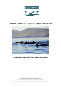 NORTH ATLANTIC MARINE MAMMAL COMMISSION  LEIÐBEINING FYRI AVLÍVING AV GRINDAHVALI North Atlantic Marine Mammal Commission Address: Science Park, POB 6453, N-9294 Tromsø, Norway