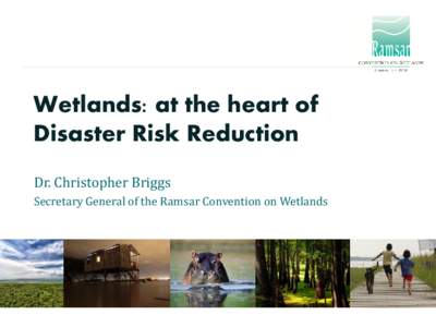 Wetlands: at the heart of Disaster Risk Reduction Dr. Christopher Briggs Secretary General of the Ramsar Convention on Wetlands  What are wetlands?