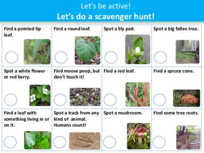 Let’s be active!  Let’s do a scavenger hunt! Find a pointed tip leaf.