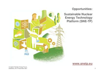 Opportunities: Sustainable Nuclear Energy Technology Platform (SNE-TP)  www.snetp.eu