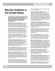 Big-Cat Incidents in the United States The following is a partial list of incidents involving captive big cats in the United States sinceThese incidents have resulted in the deaths of 126 big cats and 23 humans an