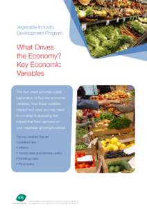 Vegetable Industry Development Program What Drives the Economy? Key Economic