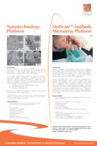 Nanotechnology Platform DotScan™ Antibody Microarray Platform