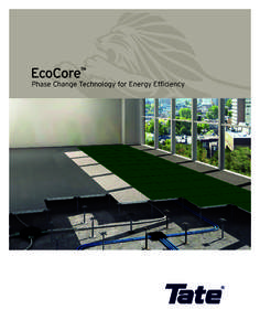 EcoCore Brochure:Perimeter Solutions:52 AM Page 1  ™ EcoCore