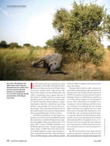 DEAD ZONE: This elephant was  killed inside Chad’s Zakouma National Park last October when poachers trained automatic weapons on a grazing herd.