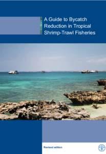 A Guide to Bycatch Reduction in Tropical Shrimp-Trawl Fisheries Revised edition