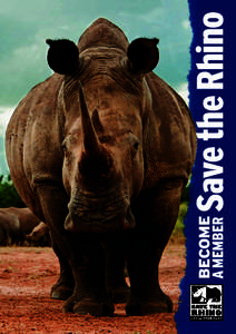 EDGE Species / Javan Rhinoceros / Sumatran Rhinoceros / Save the Rhino / Indian Rhinoceros / Rhino / White Rhinoceros / Black Rhinoceros / Fauna of Africa / Rhinoceroses / Zoology