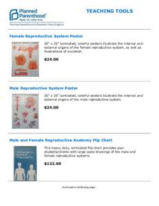 TEACHING TOOLS  Female Reproductive System Poster 20