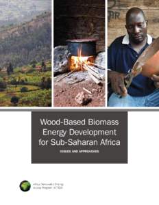 Wood-Based Biomass Energy Development for Sub-Saharan Africa Issues and ApproAches  Copyright © 2011