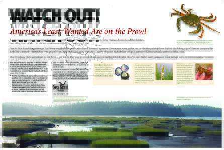 WATCH OUT!  America’s Least-Wanted Are on the Prowl Aquatic invasive species are non-native freshwater or marine plants and animals that cause harm to native plants and animals and their habitats. Controlling these inv