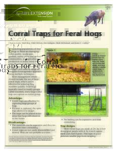 LCorral Traps for Feral Hogs Chancey Lewis, Matt Berg, Nikki Dictson, Jim Gallagher, Mark McFarland, and James C. Cathey*