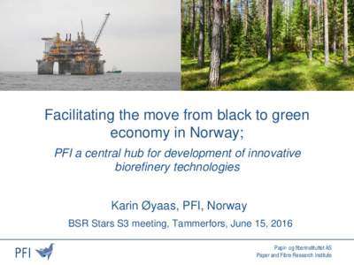 Moving from black to green;  Development of biorefinery processes and products in Norway