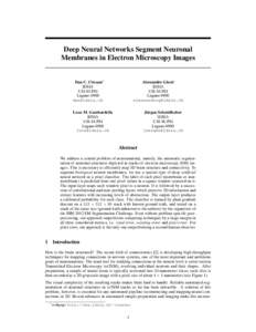 Deep Neural Networks Segment Neuronal Membranes in Electron Microscopy Images Dan C. Cires¸an∗ IDSIA USI-SUPSI