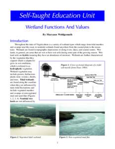 Self-Taught Education Unit Wetland Functions And Values By Maryann Wohlgemuth Introduction Throughout the state of Virginia there is a variety of wetland types which range from tidal marshes