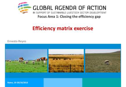Focus Area 1: Closing the efficiency gap  Efficiency matrix exercise Ernesto Reyes  Ernesto Reyes