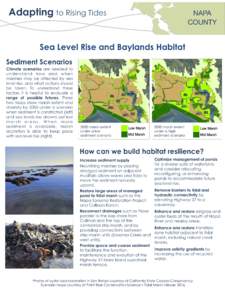 Adapting	
  to Rising Tides  NAPA COUNTY
  Sea Level Rise and Baylands Habitat