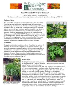 Plant-Mediated IPM Systems Explained Cheryl E. Frank Sullivan & Margaret Skinner The University of Vermont, Entomology Research Laboratory, 661 Spear Street, Burlington, VT[removed]Indicator Plants It is known that some pl