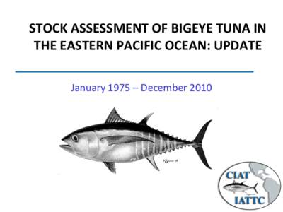 STOCK ASSESSMENT OF BIGEYE TUNA IN THE EASTERN PACIFIC OCEAN: UPDATE January 1975 – December 2010 Outline • Stock assessment (base case model)
