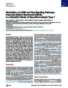 Cell Reports  Report Modulation of cAMP and Ras Signaling Pathways Improves Distinct Behavioral Deficits in a Zebrafish Model of Neurofibromatosis Type 1