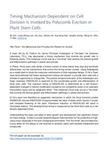 Timing Mechanism Dependent on Cell Division Is Invoked by Polycomb Eviction in Plant Stem Cells
