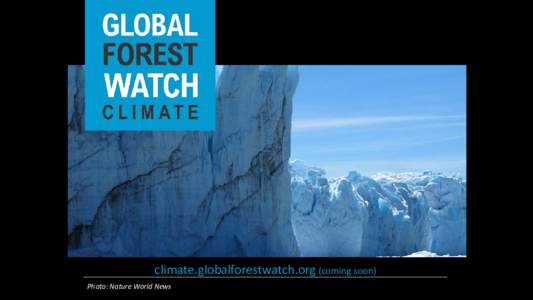 climate.globalforestwatch.org (coming soon) Photo: Nature World News Global datasets for national forest monitoring systems • Country Reporting