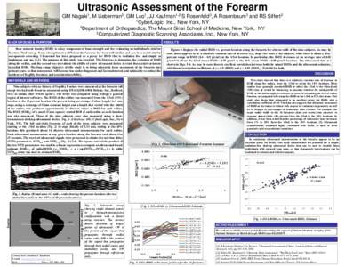 Ultrasonic Assessment of the Forearm GM Nagaki1, M Lieberman3, GM Luo1, JJ Kaufman1,2 S Rosenfeld3, A Rosenbaum3 and RS Siffert2 1CyberLogic, Inc., New York, NY 2Department of Orthopaedics, The Mount Sinai School of Medi