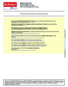 Sizing Up the Cell Bruce A. Edgar, et al. Science 325, ); DOI: scienceThis copy is for your personal, non-commercial use only.