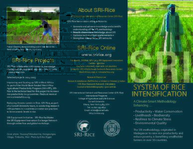 SRI-Rice brochure - System of Rice Intensification